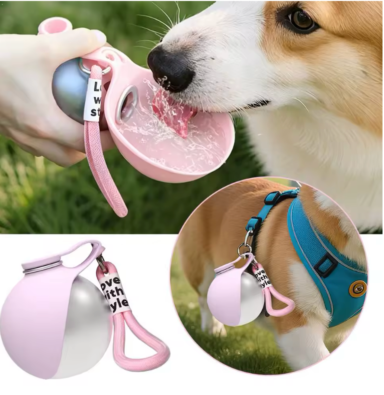 đ¶đ§ Portabel Hundvattenflaska â LĂ€ckagesĂ€ker & Perfekt för Promenader đŸđ¶ââïž