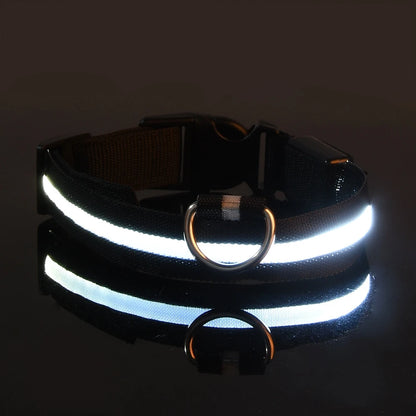 🐕✨ GlowSafe™ – Lysande LED-Hundhalsband & Koppel för Tryggare Kvällspromenader 🐕