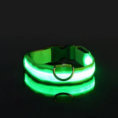 🐕✨ GlowSafe™ – Lysande LED-Hundhalsband & Koppel för Tryggare Kvällspromenader 🐕
