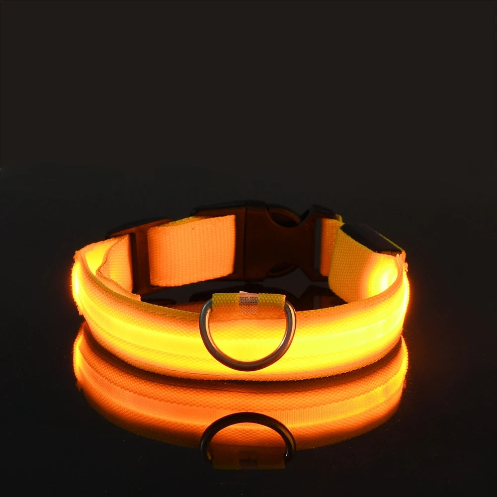 🐕✨ GlowSafe™ – Lysande LED-Hundhalsband & Koppel för Tryggare Kvällspromenader 🐕