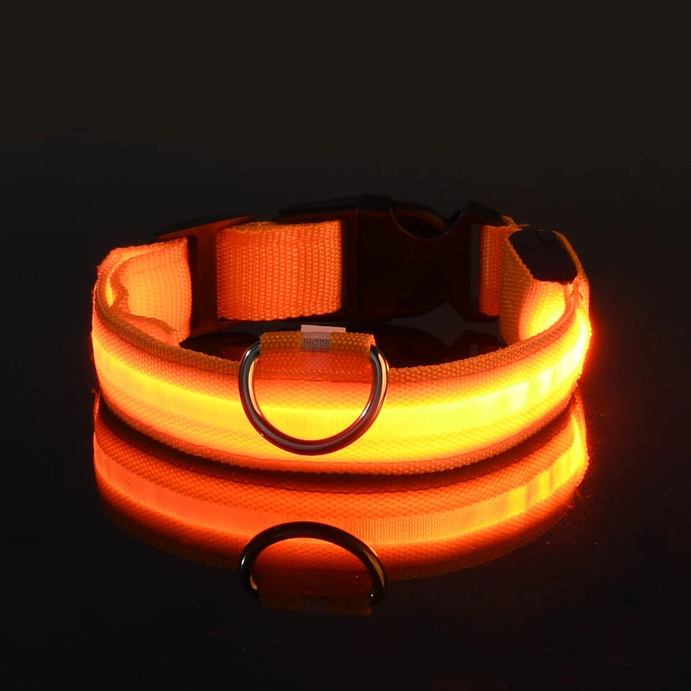 🐕✨ GlowSafe™ – Lysande LED-Hundhalsband & Koppel för Tryggare Kvällspromenader 🐕