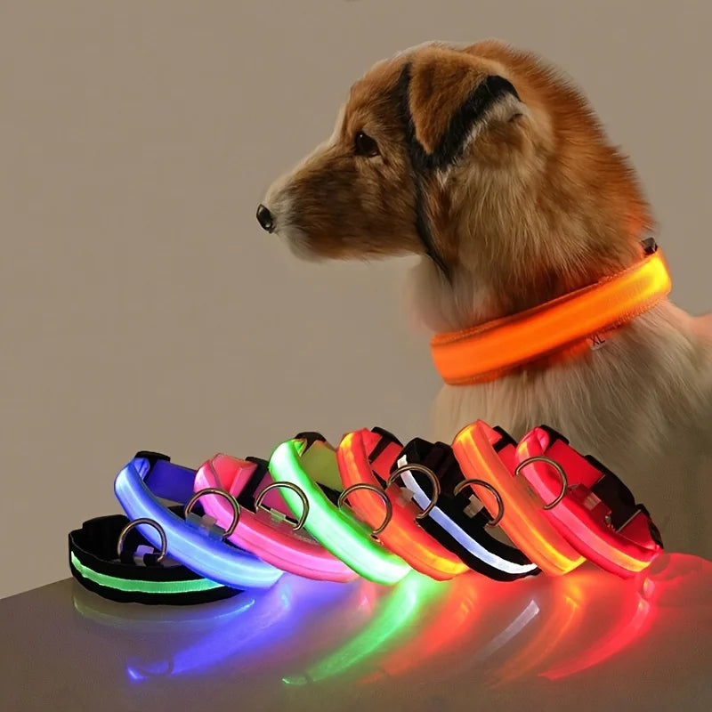 🐕✨ GlowSafe™ – Lysande LED-Hundhalsband & Koppel för Tryggare Kvällspromenader 🐕
