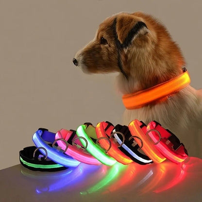 🐕✨ GlowSafe™ – Lysande LED-Hundhalsband & Koppel för Tryggare Kvällspromenader 🐕
