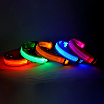 🐕✨ GlowSafe™ – Lysande LED-Hundhalsband & Koppel för Tryggare Kvällspromenader 🐕