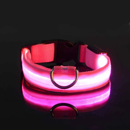 🐕✨ GlowSafe™ – Lysande LED-Hundhalsband & Koppel för Tryggare Kvällspromenader 🐕
