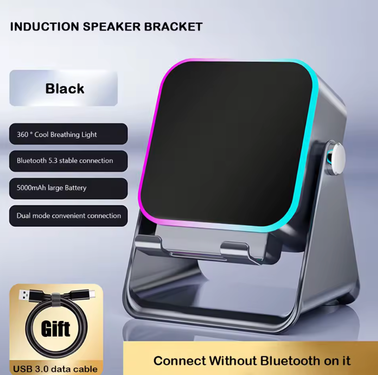 Trådlös induktionshögtalare – omedelbar ljudförstärkare
