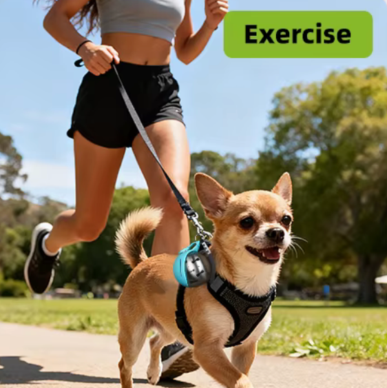🐶💧 Portabel Hundvattenflaska – Läckagesäker & Perfekt för Promenader 🐾🚶‍♂️