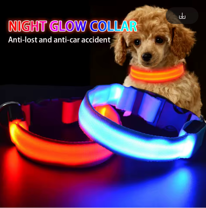 🐕✨ GlowSafe™ – Lysande LED-Hundhalsband & Koppel för Tryggare Kvällspromenader 🐕