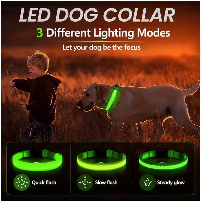 🐕✨ GlowSafe™ – Lysande LED-Hundhalsband & Koppel för Tryggare Kvällspromenader 🐕