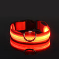 🐕✨ GlowSafe™ – Lysande LED-Hundhalsband & Koppel för Tryggare Kvällspromenader 🌙